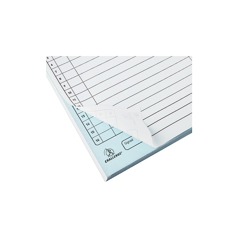 Challenge Large Duplicate Sales Order Book, 137x195mm, 400048653