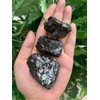GAF TREASURES 4 oz Elite Noble Shungite – Raw Natural