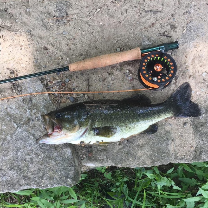 Floating Fly Fishing Line Weight Forward Design with Welded Loop(WF6F,Orange)