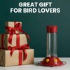 Perky-Pet 209B-1SR Glass Hummingbird Feeders for Outdoors Hanging - 30