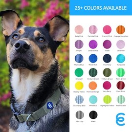 Blueberry Pet 32 Colors Classic Dog Collar, Medium Turquoise, Large, Neck 18-26, Nylon Collars for Dogs                                               