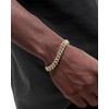 Iced Classic Spring Clasps 9mm Cuban Link Chain Necklace/Bracelet, Everlasting