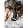 Zeus Chew Chasers Treat Rugby Ball Black 12.5cm
