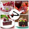 Cherry Pitter Tool Cherry Jam Core Remover with Space Saving