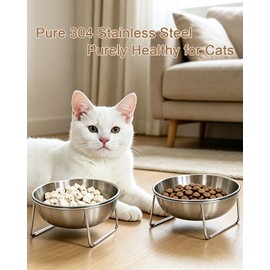 15° Tilted Cat Food Bowls 304 Stainless Steel Kitten Food Bowl Raised Food and Water Dish for Cats Elevated Cat Bowl Plate Stand Whisker Friendly Smooth Polished Easy to Clean Dishwasher Safe 2PACK