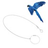 AHANDMAKER Pet Bird Parrot Anklet, Stainless Steel Bird Foot Stand