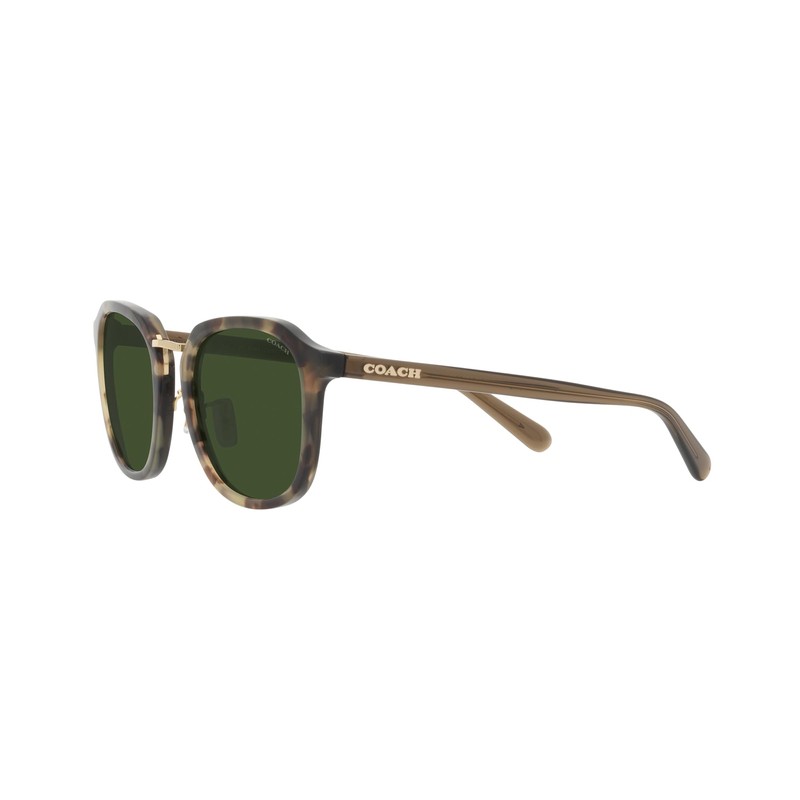 Coach HC8366 Sunglasses, Sage Tortoise/Green Solid, 54 mm