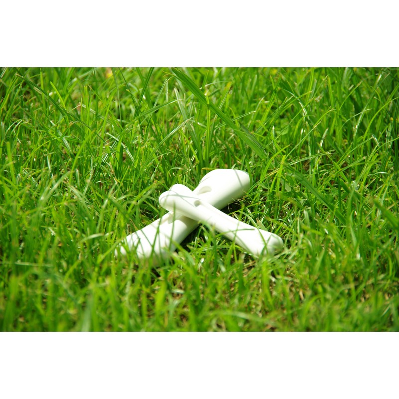 JW Pet Dog Toy, Dental Toy, Evertough Bone, Chicken, Small