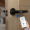 XFORT Smart Lock Door Handle, Stainless Steel in Black, Lever