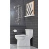 Gerber Parma Wall Mounted Toilet Paper Roll Holder D446258BN, Modern