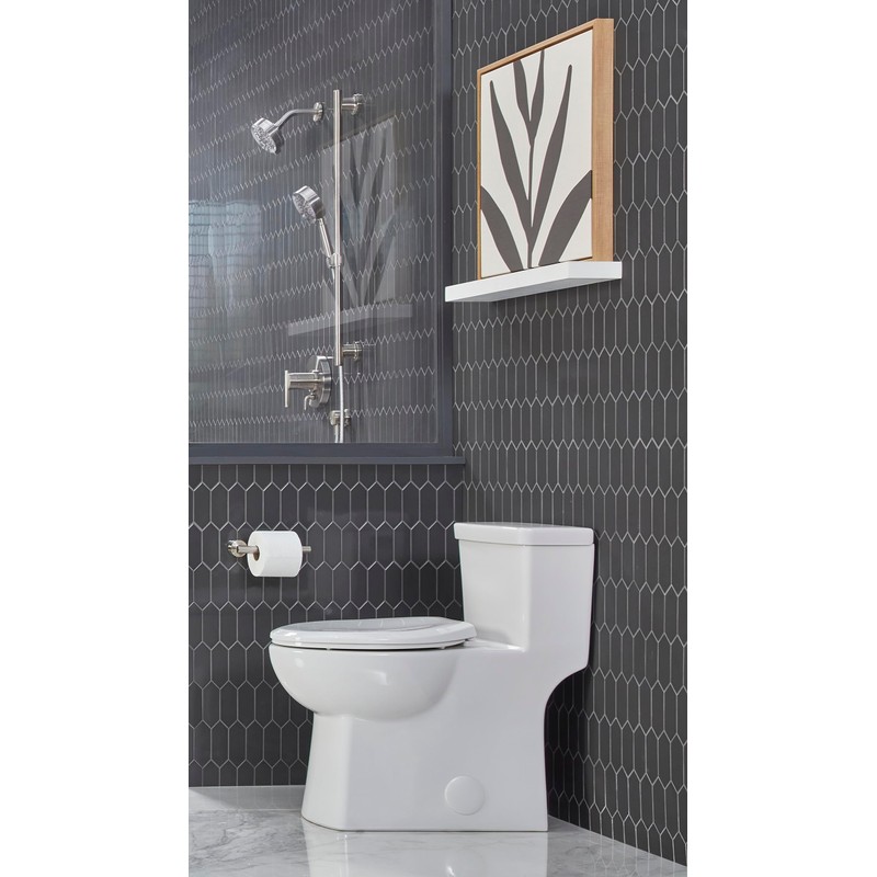 Gerber Parma Wall Mounted Toilet Paper Roll Holder D446258BN, Modern