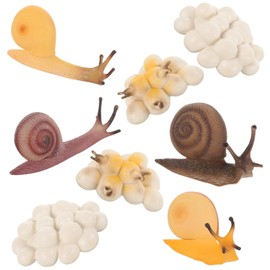 BESPORTBLE Set Snail Growth Cycle Toys Realistic Snail Educational Models Safe Fun for Boys and Girls