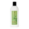 Bath and Body Eucalyptus Spearmint Moisturizing Conditioner | 16 Fl