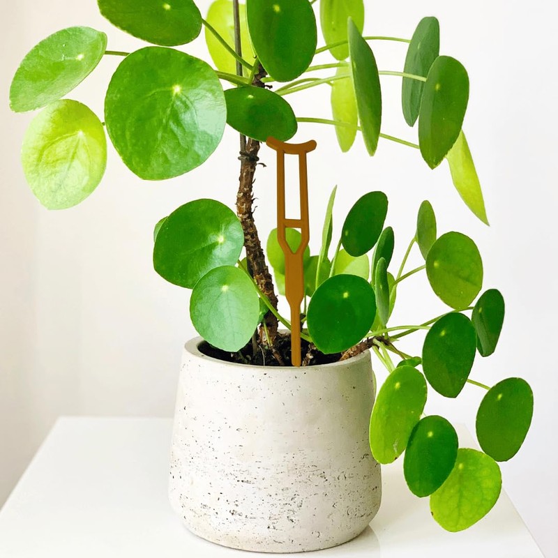 Plant Crutch Support for Drooping Stems or Branches | 4