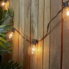 Northlight G50 Globe Patio Lights - Clear - 19' Black