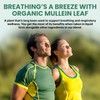 5-in-1 Mullein Drops for Lungs and Bronchial - Respiratory Lung