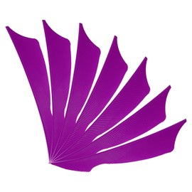 PATIKIL 4 Inch Arrow Vanes, 20 Pack Turkey Feather Fletching Archery Fletch Right Wing for Hunting Target Shooting, Purple-Red