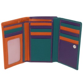 Golunski Leather Women's Wallet RFID Protected, Dakota Multi, Contemporary