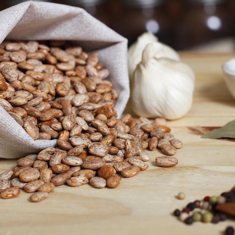Organic Pinto Bean Seeds - USDA Organic, Non-GMO, Open Pollinated,