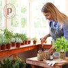 Indoor Herb Garden Starter Kit - Coolest Gifts for Women