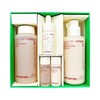 Innisfree Black Tea Youth Enhancing Skincare Set / 이니스프리 블랙티 유스 인핸싱 스킨케어 세트