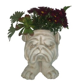 Muggly Homestyles 12 in. Antique White Bulldog Mascot Animal Statue Planter Holds 5 in. Pot