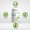 Ultra Strength HMB Supplements 3,000mg Per Serving, 240 Capsules |