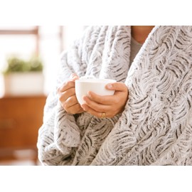 Chanasya Premium Soft Textured Black White Faux Frost Tip Fur & Velvety Mink Throw Blanket - Cozy Blanket for Sofa Chair Couch Bed & Living Room - Silky Royal Luxurious Blanket (50x65 Inches) White