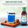 Walden Farms Syrup Variety Pack – Blueberry & Strawberry –