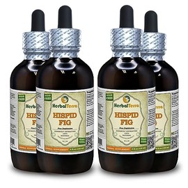 Hispid Fig (Ficus Simplicissima) Tincture, Organic Dried Roots Liquid Extract (Brand Name: HerbalTerra, Proudly Made in USA) 4x4 fl.oz (4x120 ml)