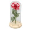 Rose in Glass Dome Lucky Beautiful Symbolism Romantic Enchanted Rose