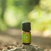 Primavera PV10597 Single Essential Oil Swiss Spine Bio 5ml