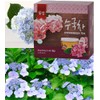 Organic Natural Pure Hydrangea Leaf (1 Box(40 Tea Bag))-Individually Wrapped