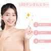 Watles デンタルミラー 歯科用ミラー 曇り止めミラー 充電式 LEDライト 歯鏡 家庭用 自宅 (ピンク)