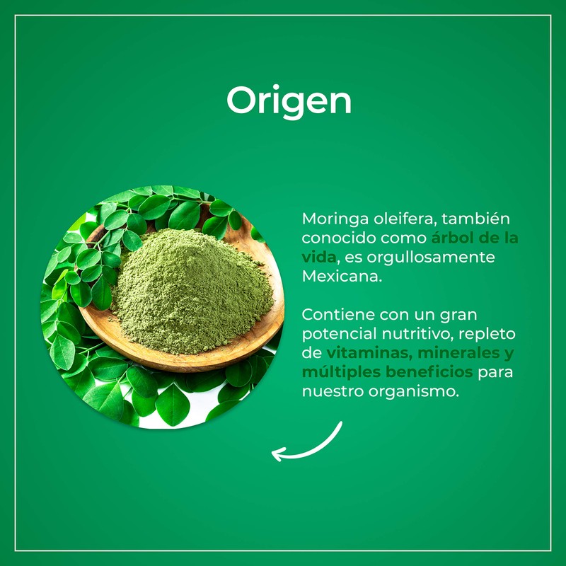 VIZANA NUTRITION | Moringa Orgánica Certificada en Cápsulas Pullulan Orgánica