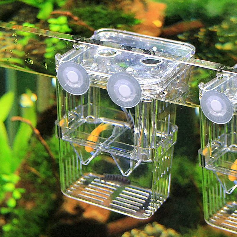 Shrimp Fish Breeding Box,Guador 2 Pcs Multi Functional Double Layer