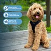 Best Pet Supplies Voyager Adjustable Dog Vest Harness Breathable No