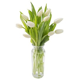 Blooms2Door PRIME NEXT DAY DELIVERY - Fall Collection - Bouquet Of 10 Farm-fresh White Tulips With Vase,.Gift for Birthday, Anniversary, Thank You, Valentine, Mother’s Day Fresh Flowers
