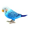 TAKARATOMY Daily Talking Genius Parakeet Blue, Target Age: 6 years