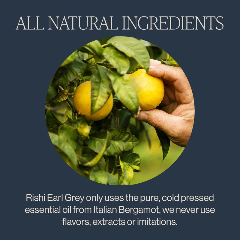 Rishi Tea Earl Grey Tea - Organic Loose Leaf Pure