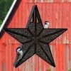 Woodlink Rustic Farmhouse Star Bird Feeder