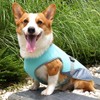 Dog Cooling Vest, Dogs Cooling Coat with Adjustable Buckle Summer