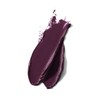 L'Oreal Paris Color Riche Shine Lipstick 466, Like A Boss,