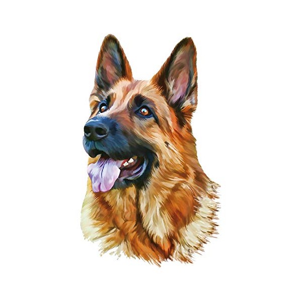 Colour iron-on transfers, DIN A4, textiles such as T-shirts and