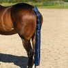 Dura-Tech Padded Full Length Tail Wrap for Horses | Padded