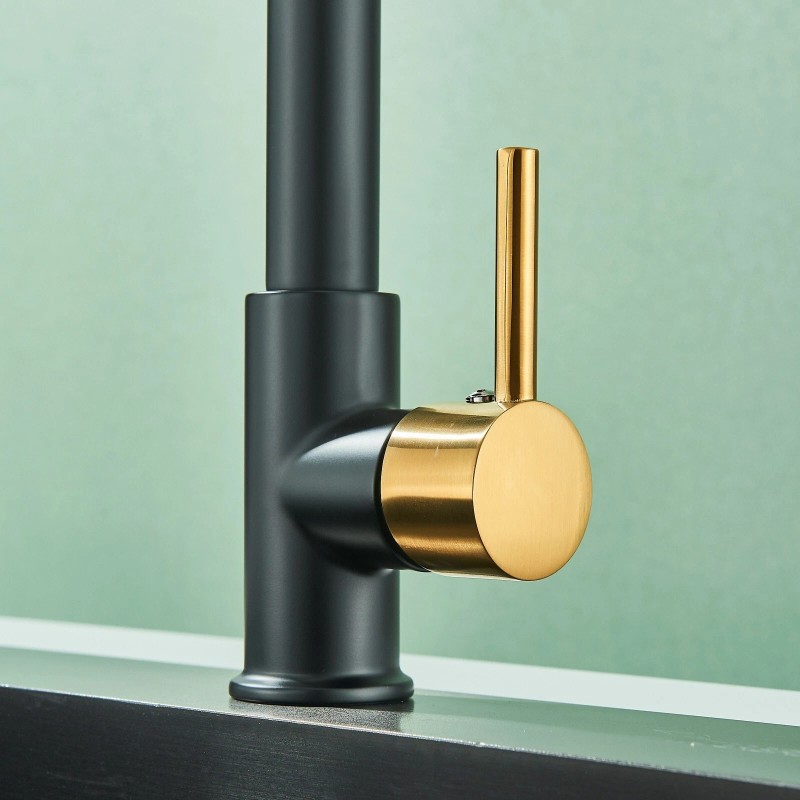 MVMHOME Black and Gold LED Kitchen Faucet with Pull Down