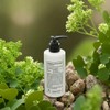 Aesthetic Healen Moisture Soothing Ambition Ampoule Cica Toner Large Capacity