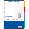 Maruman LT6005 Index A5, 20 Holes (2 Hole Compatible), Index