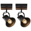 SEEBLEN 2-Light Track Light Fixtures, Adjustable Ceiling/Wall Mount, Industrial Black
