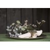 Wildlife Garden WG4565 Napkin Ring Cat - Hand Carved Wooden